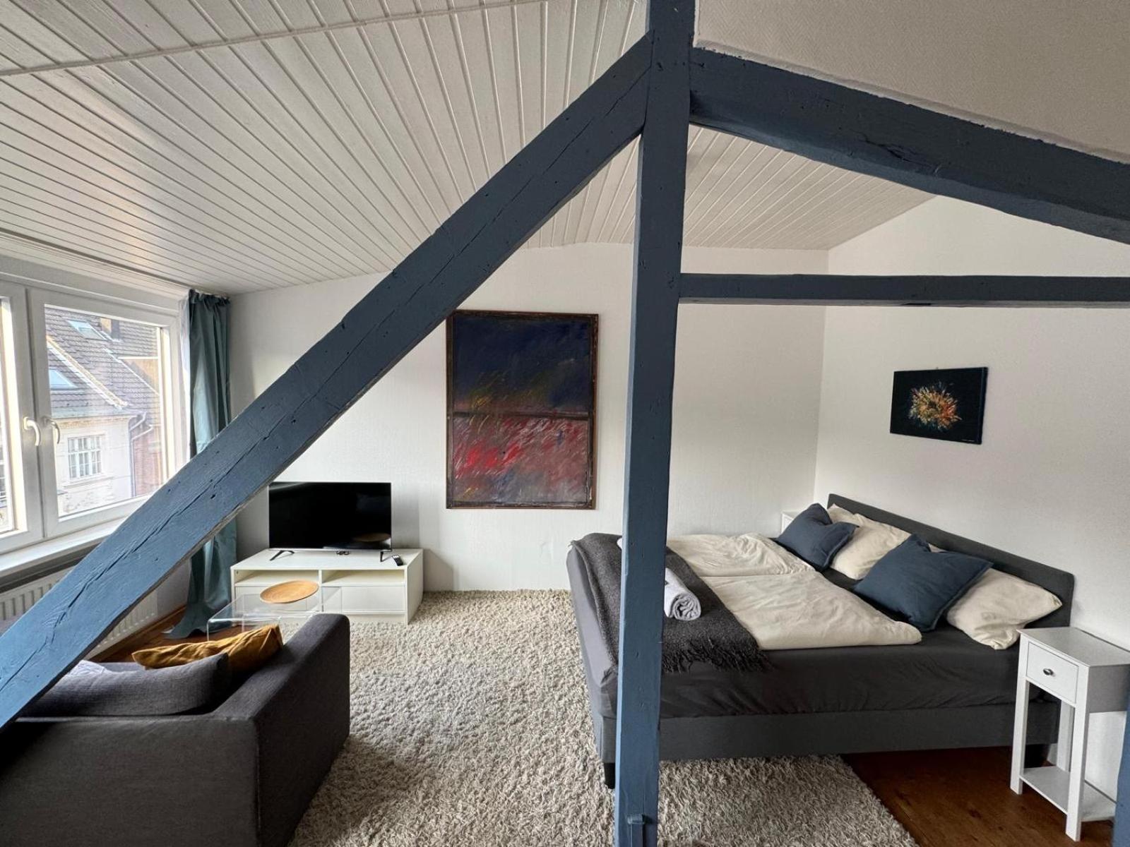 Cosy&central Flat Near Center Düsseldorf