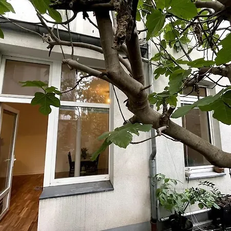 Cosy&central Flat Near Center *